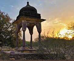 Holiday Package Ranthambore