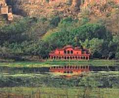 Tour To Ranthambore