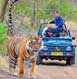 Ranthambore Tour Packages